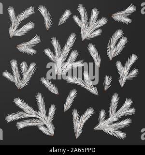Set of Fir Branches Stock Vector