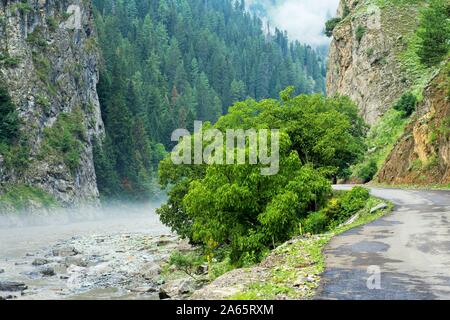 Road and Kishanganga river, Gurez valley, Bandipora, Kashmir, India, Asia Stock Photo