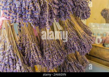 Cannes France. June 15 2019. A view of Lavender in Cannes in France Stock Photo