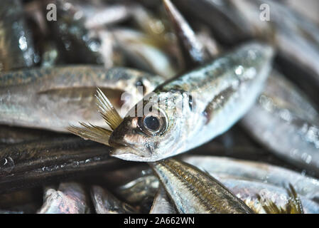 Fresh vivid Portuguese sardines on ice exposition at the fish market. Close up. Stock Photo