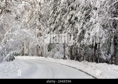 Mountain road in Yosemite, California, USA, on a winters day featuring snow on the side of the road as a sign of dangerous driving conditions Stock Photo