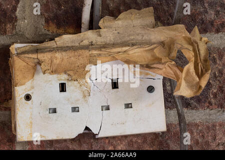 Electricity hazard. Dangerous cracked and damaged electrical power wall socket. Old home garage broken electric plug wiring and cable. Domestic electr Stock Photo