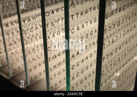 Genetic code on glass 3d Stock Photo