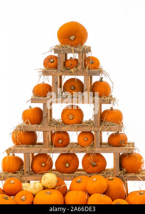 pumpkin tower fair background  a stake of vegetables for a fail festival  shot on a white background to ad copy space and text over lay Stock Photo