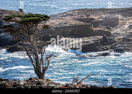 Coastline near Carmel-on-the-Sea California USA Stock Photo