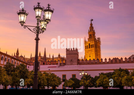 La Giralda tower on Seville cathedral above the walls of the Real Alcazar palace Seville Sevilla Seville Spain seville Andalusia Spain EU Europe Stock Photo