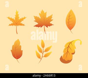 autumn season set leafs icons Stock Vector