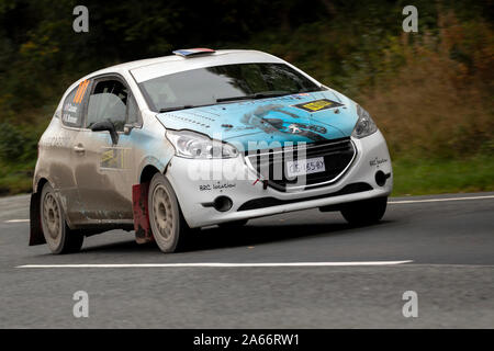 Car 101, Driver Philippe Casado, Co-Driver Kevin Bronner,Wales Rally GB, in-between stages in Newtown, Powys, Wales, UK Stock Photo