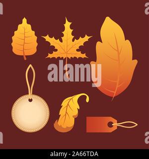 bundle of autumn season leafs and tags Stock Vector