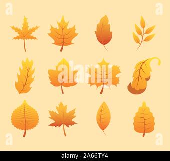 autumn season set leafs icons Stock Vector