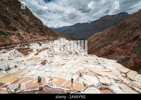 Elevated view of workers at Maras salt marsh terraces, Salinas de Maras, Cuzco Region, Peru Stock Photo