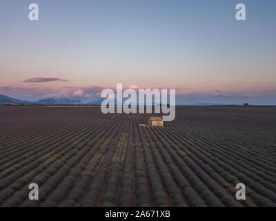 Aerial View of Lavender Fields in Valensole Plateau, Provence, France Stock Photo