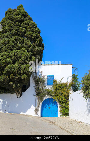Tunisia, Picturesque whitewashed village of  Sidi Bou Said