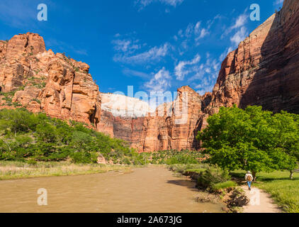 Man enjoying the view from Angels landing Zion National Park, Utah, USA, North Americadscape, Stock Photo