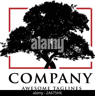 Oak tree logo vector  illustration. Vector silhouette of a tree with square line background Stock Vector