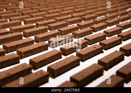 fillings for sweets before pouring with liquid chocolate move on the conveyor of a confectionery factory; one of them is broken Stock Photo