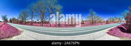 Beautiful pink infrared landscape panorama with a deep blue sky in high resolution Stock Photo