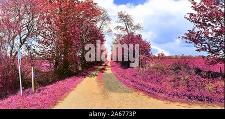 Beautiful pink infrared landscape panorama with a deep blue sky in high resolution Stock Photo