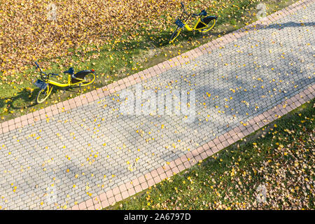 two yellow bicycles stands on the footboard in the autumn park among the colorful fallen foliage Stock Photo
