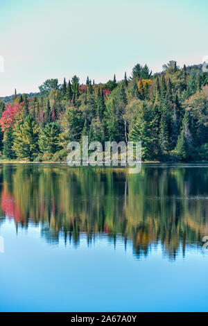 Autumn forest landscape and reflection in the lake. La Mauricie National Park, Canada. Stock Photo