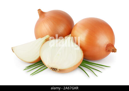 yellow onion isolated on white background close up. Stock Photo