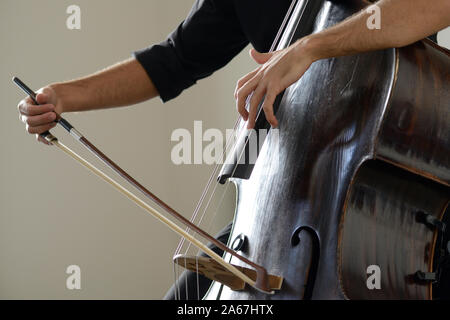 Man Plays a Contrabass Stock Photo