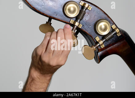 Man Tuning his Double Bass Stock Photo