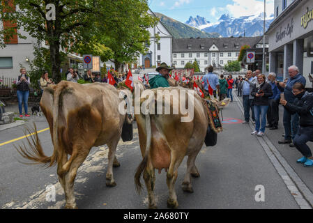Engelberg, Switzerland - 28 September 2019: Farmers with a herd of cows on the annual transhumance at Engelberg on the Swiss alps