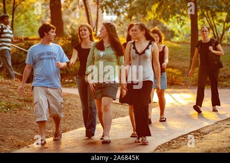 A group of students walks along a tree-lined brick path, in the late afternoon sunlight, at the Johns Hopkins University, Baltimore, Maryland, September 26, 2007. From the Homewood Photography Collection. () Stock Photo