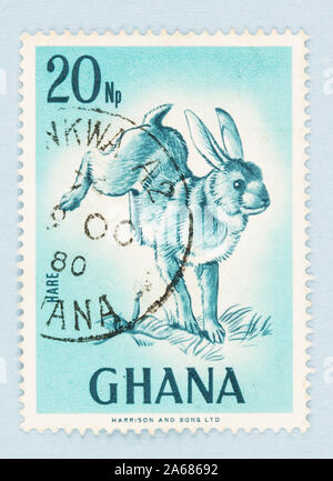 Close up of blue Ghana postage stamp featuring cape hare;  Hopping rabbit and grass. Lepus capensis. Scott # 296 Stock Photo