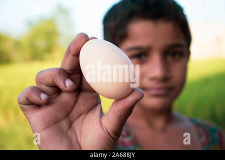 Small hand holding egg Stock Photo