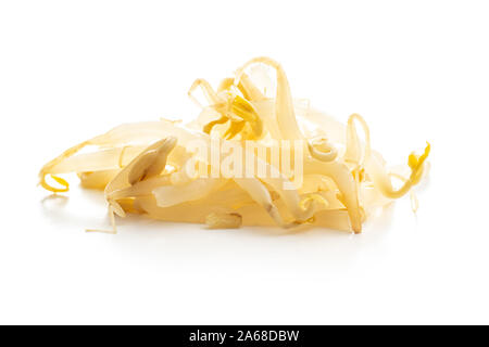 Preserved mung sprout isolated on white background. Stock Photo