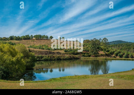 Apple orchard in the background with a lake reflecting the vibrant blue sky in the foreground on a sunny day in autumn Stock Photo