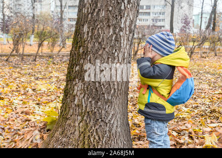 little boy in bright clothes and with backpack plays hide and seek hiding behind a large tree in autumn city Park. Stock Photo