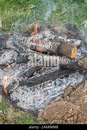 Outdoor camping survival wood fire in field. Shows fire pit with charred wood, embers and ashes. See explanatory notes for extra info. Stock Photo