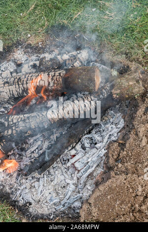 Outdoor camping survival wood fire in field. Shows fire pit with charred wood, embers and ashes. See explanatory notes for extra info. Stock Photo