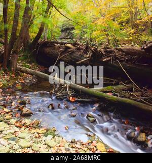 Dead tree over small rippling stream long exposure shot. Long exposure of stream with downed trees forming small dam over river in woods. Fall time le Stock Photo