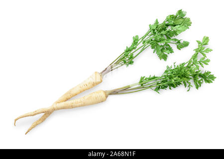 Parsley root with leaves isolated on white background, Stock Photo