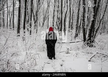 Woman’s back in a forest during a snowstorm, New Jersey, USA, woman walking alone woods, walk, WP rear FS 11.54MB. 300ppi winter blues landscape Stock Photo