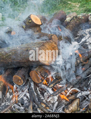 Orange and red flames of a burning wood camp fire / burning twigs. Metaphor survival, survival skills, bushcraft, keeping warm, fire lighting skills. Stock Photo