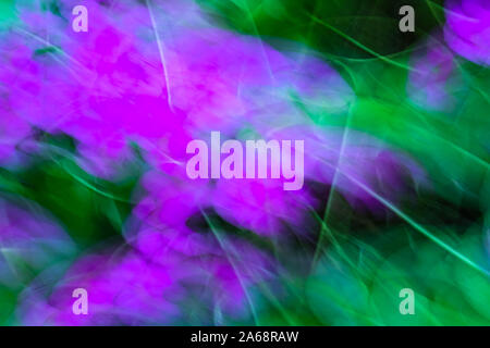 Abstract background of unfocused flowers. Stock Photo