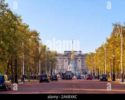 Taxis on The Mall, with Buckingham Palace in background and autumnal golden coloured trees, London, UK. Stock Photo