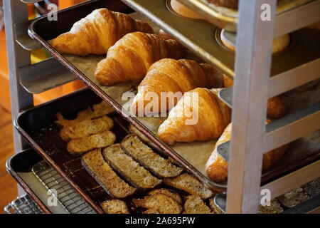 Boothbay Harbor, ME / USA - October 20, 2019: Delicious rolls and various breads in a sheet pan rack Stock Photo