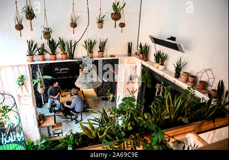Berlin, Germany. 24th Oct, 2019. Two young men are drinking coffee at The Greens. (To Korr ' Green and chic: Young city dwellers let plant market boom' of 25.10.2019) Credit: Britta Pedersen/dpa-Zentralbild/dpa/Alamy Live News Stock Photo