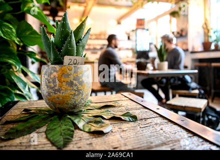 Berlin, Germany. 24th Oct, 2019. Houseplants are offered for sale in the Café' 'The Greens'. (Zu dpa 'Green and chic: Young city dwellers let plant market boom' from 25.10.2019) Credit: Britta Pedersen/dpa-Zentralbild/dpa/Alamy Live News Stock Photo