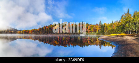 Panorama of a gorgeous forest in autumn, a scenic landscape with pleasant warm sunshine. Autumn forest reflected in water. Colorful autumn morning in Stock Photo