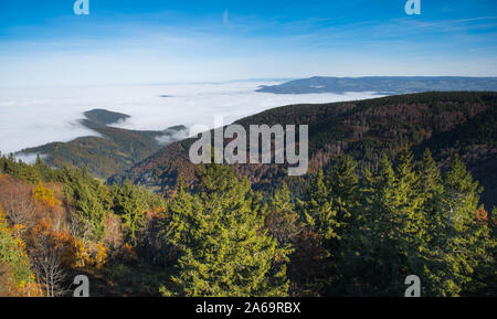 View from the mountain Schauinsland above Freiburg in the black forest in germany Stock Photo