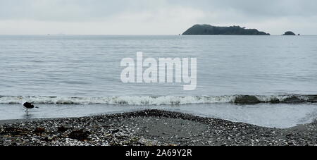 View of Matiu Some Island in Wellington from Petone Beach Stock Photo