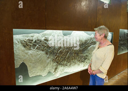 Fossil museum in Meride, UNESCO World Heritage Site Monte San Giorgio, Ticino, Switzerland Stock Photo