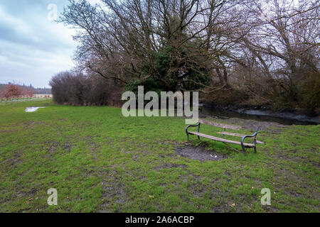 Afternoon in Cranford Park, in the London Borough of Hillingdon. The park has significant historical importance, with settlement in the area dating at Stock Photo